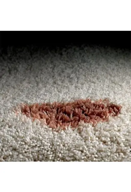 SCOTCHGARD Nettoyant pour tissus et tapis2.webp