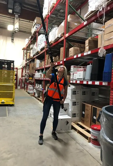 SV38  PIONEER 1.webp