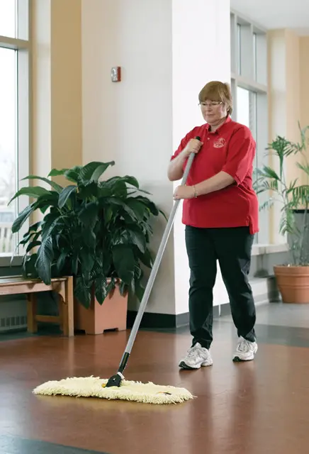 Manche en fibre de verre M146 pour vadrouille à sec Snap-on 1.webp