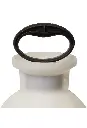Pulvérisateur de javellisant 20075, 1-gallon 2.webp