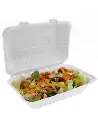 Contenant de transport pour repas à emporter compostable 1.webp