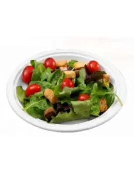 Assiette ronde en bagasse compostable 1.webp