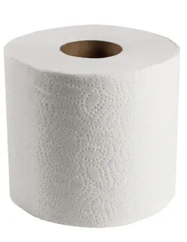 13217 SCOTT Papier hygiénique, 2 plis, 80 x 473  cse2.webp