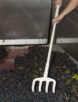 Fourche hygiénique en plastique avec manche 2.webp