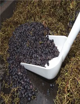 Pelle en plastique ergonomique 10 avec manche de 50 6.webp