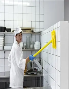 Brosse pour le lavage des murs pour service alimentaire 3.webp