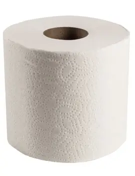 Papier hygiénique Scott Essential 13607, 2 plis, 20 x 550 par caisse4.webp