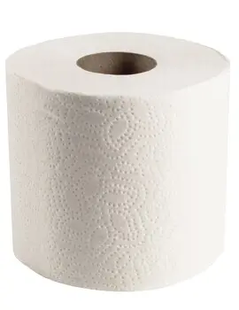Papier hygiénique Scott Essential 04460, 2 plis, 80 x 550 par caisse4.webp
