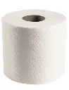 Papier hygiénique Scott Essential 04460, 2 plis, 80 x 550 par caisse4.webp
