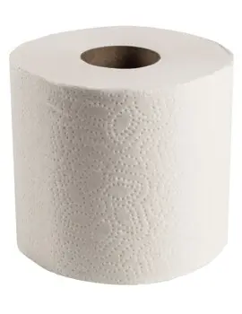 Papier hygiénique Scott Essential 05102, 1 pli, 80 x 1210 par caisse4.webp