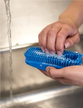 Brosse à main avec fibres fermes 53.webp