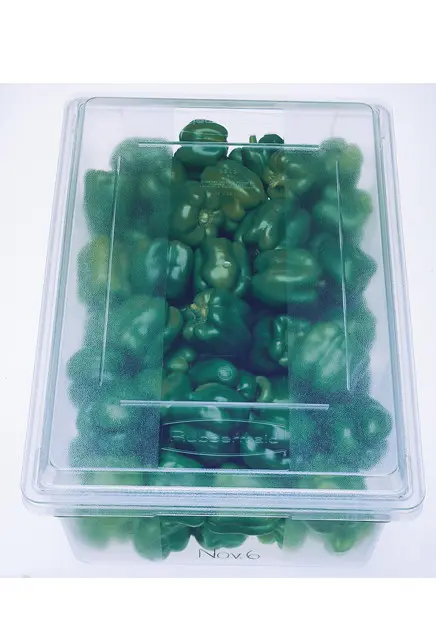 Boîte à aliments 3.webp