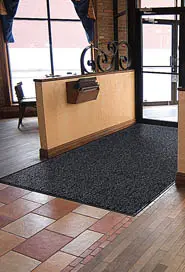 DUST STAR Tapis essuie-pieds en microfibre pour trafic élevé 1.webp