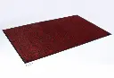 DUST STAR Tapis essuie-pieds en microfibre pour trafic élevé 8.webp