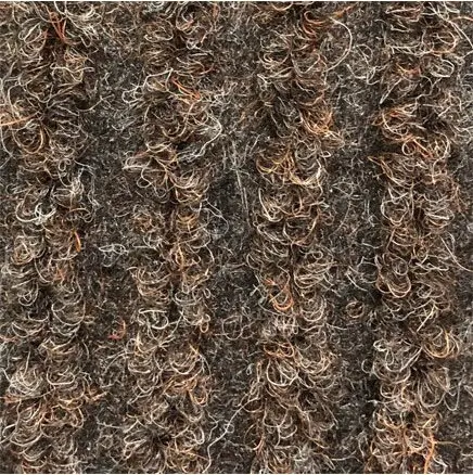 PRORIB Tapis essuie-pieds et gratte-pieds trafic léger