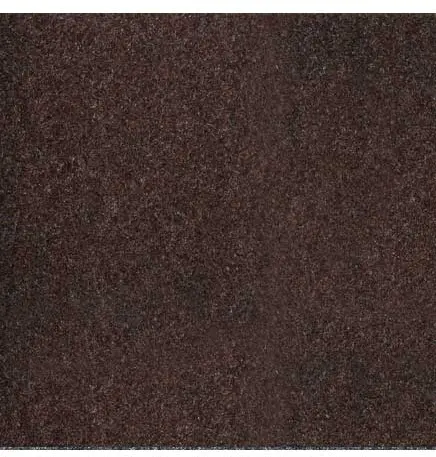 ECO STEP Tapis essuie-pieds pour trafic léger