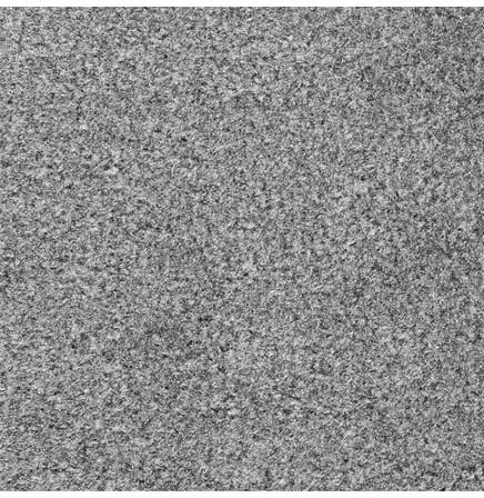 PROLUXE Tapis essuie-pieds pour trafic léger