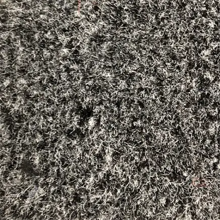 PROTRAIL Tapis essuie-pieds pour trafic léger