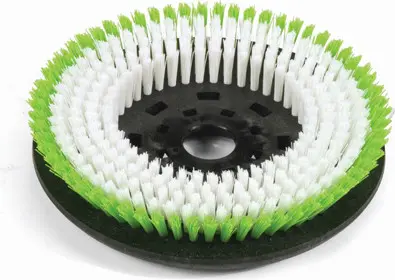Polyscrub Brosse tout usage pour autorécureuse TTB 3226 / TTV 5565
