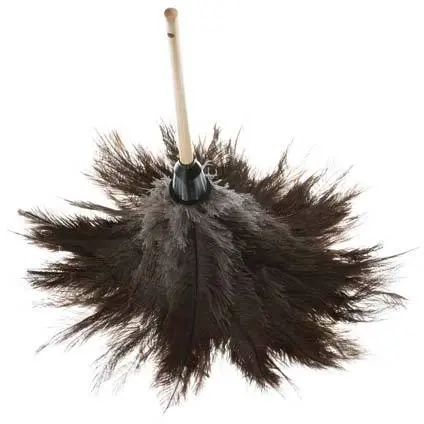 Plumeau en plumes d'autruche avec manche en bois