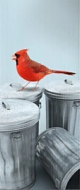 Autocollant "Déchets" pour station Multiplus