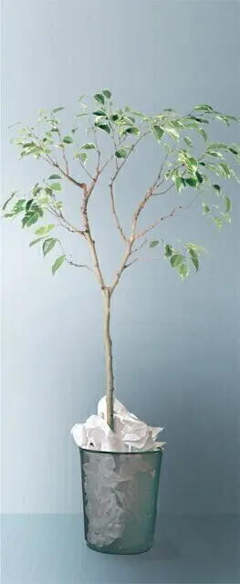 Autocollant "Papier / Carton" pour station Multiplus