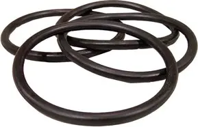 [JB00CH81100] Courroie ronde pour aspirateur vertical Eureka Sanitaire