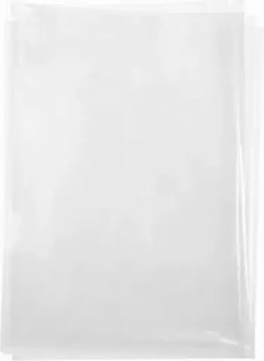 [EC300661500] Sacs en plastique recyclable clair, 15" x 21"