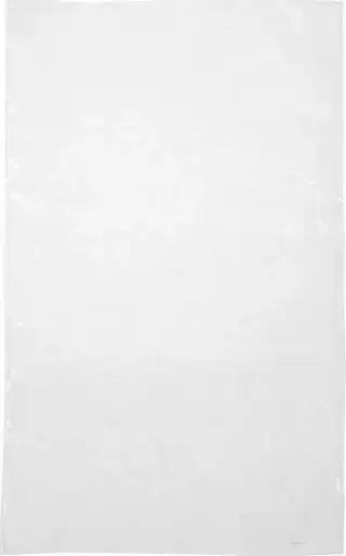 [EC326202500] Sac d'emballage en plastique recyclable