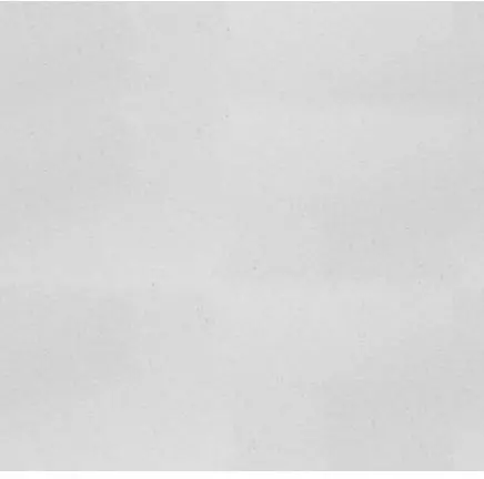 WALK-N-CLEAN Recharge de feuilles autocollantes