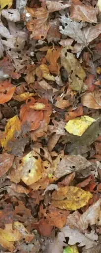 Autocollant "Déchets" pour station Multiplus