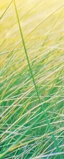 Autocollant "Papier / Carton" pour station Multiplus