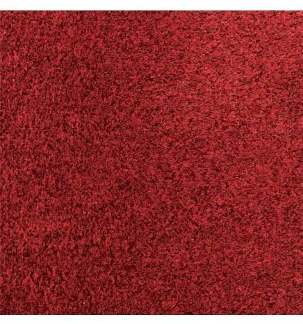 SUPERLUXE Tapis essuie-pieds pour trafic modéré