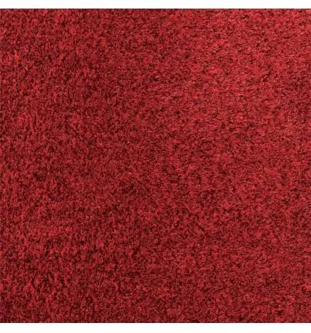 PROLUXE Tapis essuie-pieds pour trafic léger